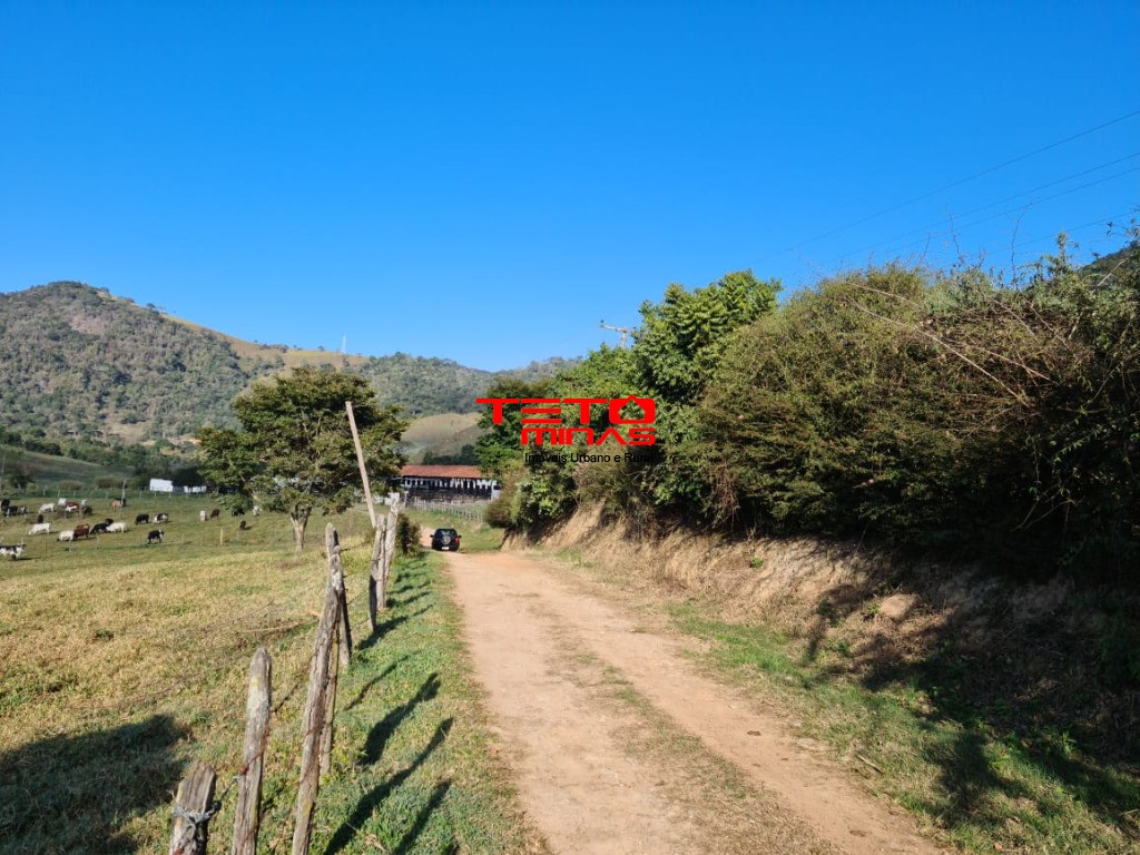Fazenda à venda - Foto 95