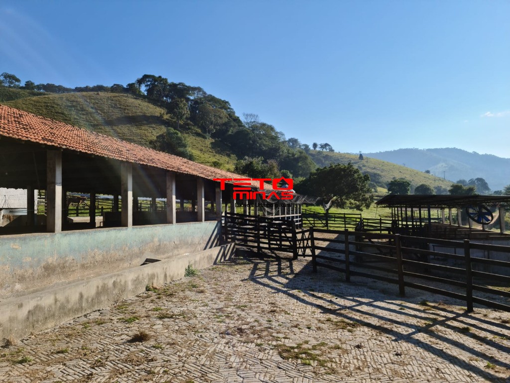Fazenda à venda - Foto 80