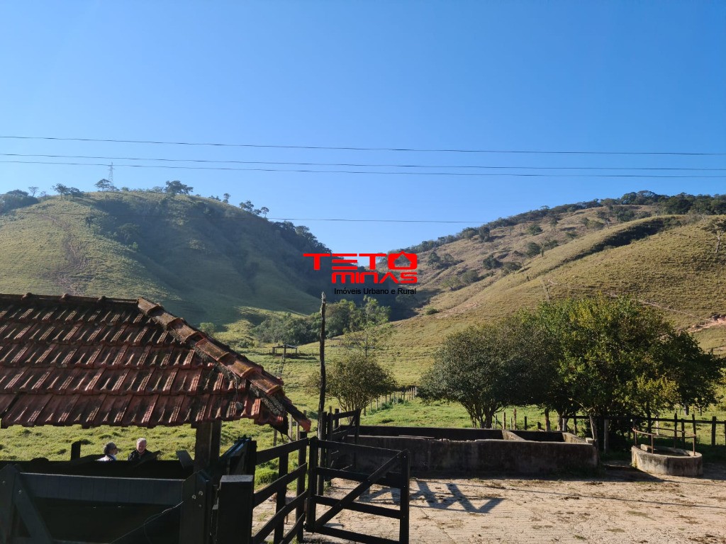 Fazenda à venda - Foto 75