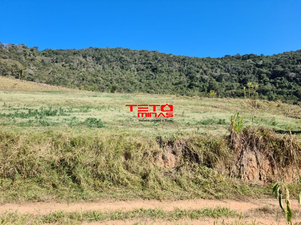 Fazenda à venda - Foto 179