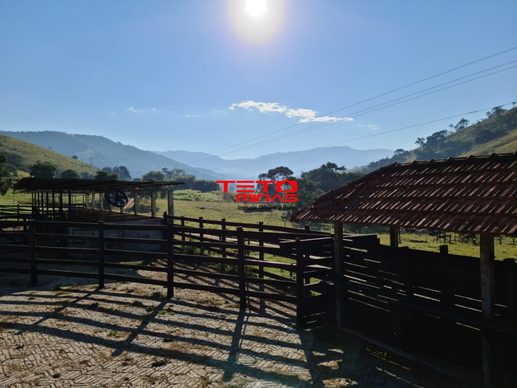 Fazenda à venda - Foto 103