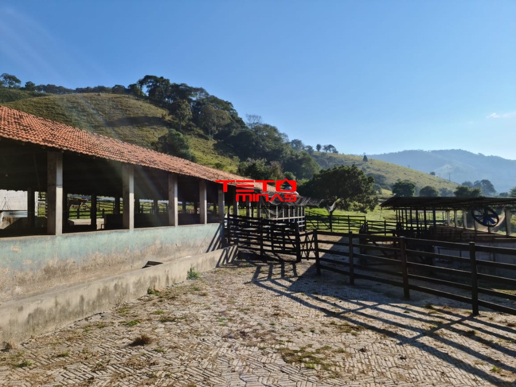 Fazenda à venda - Foto 110