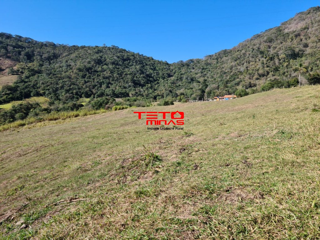 Fazenda à venda - Foto 177