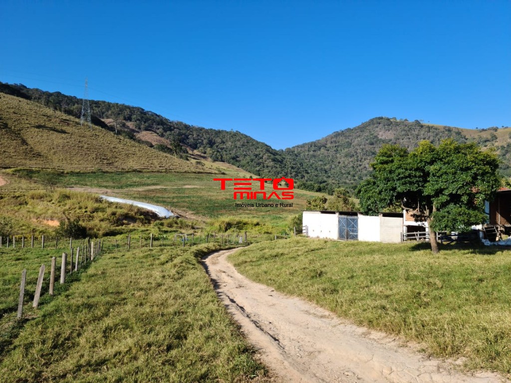 Fazenda à venda - Foto 153