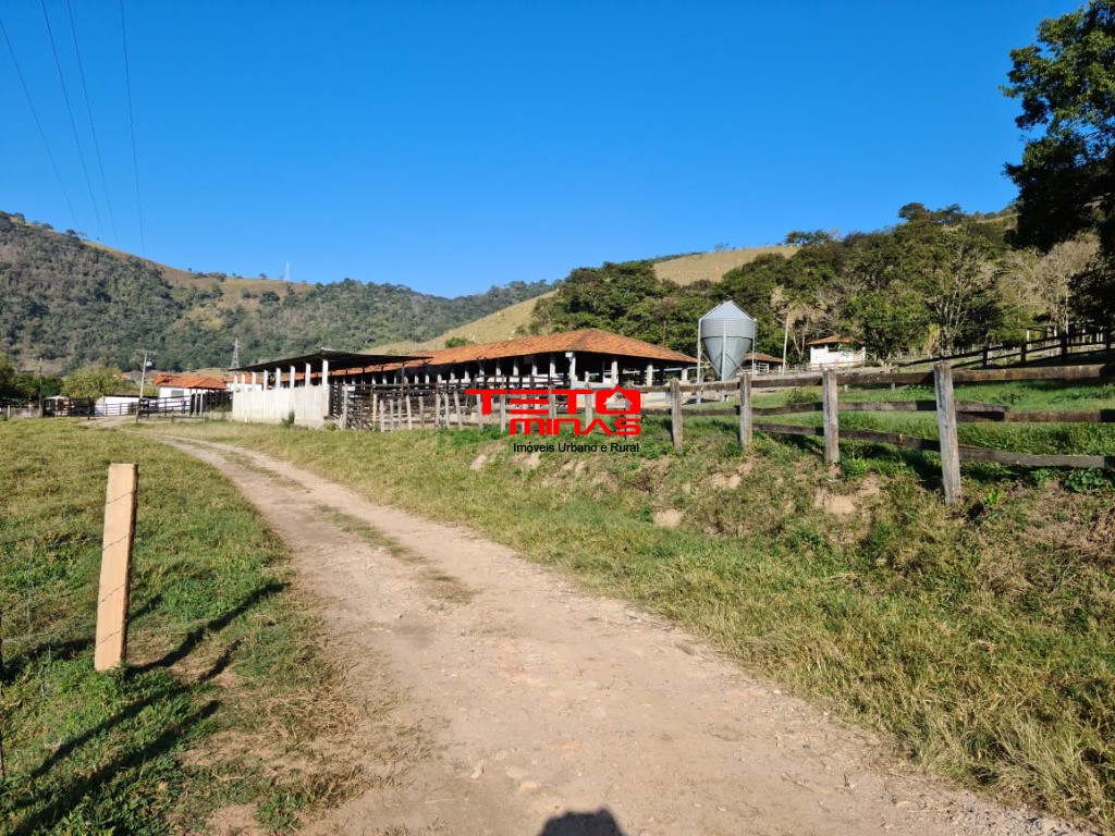 Fazenda à venda - Foto 133