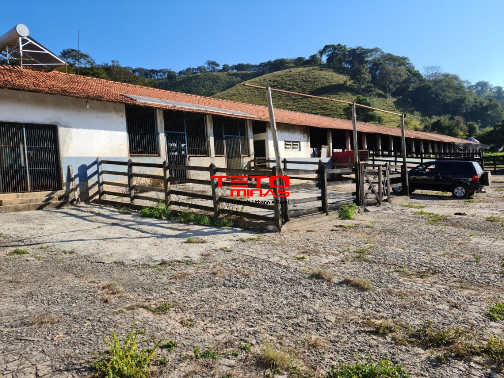 Fazenda à venda - Foto 149