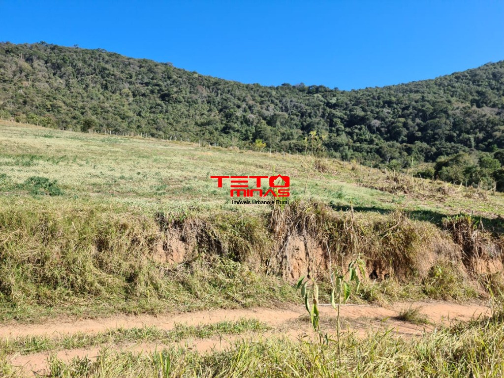 Fazenda à venda - Foto 178