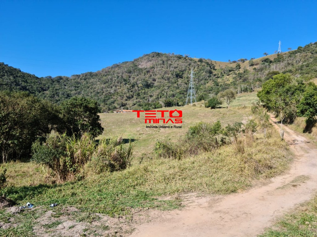 Fazenda à venda - Foto 190