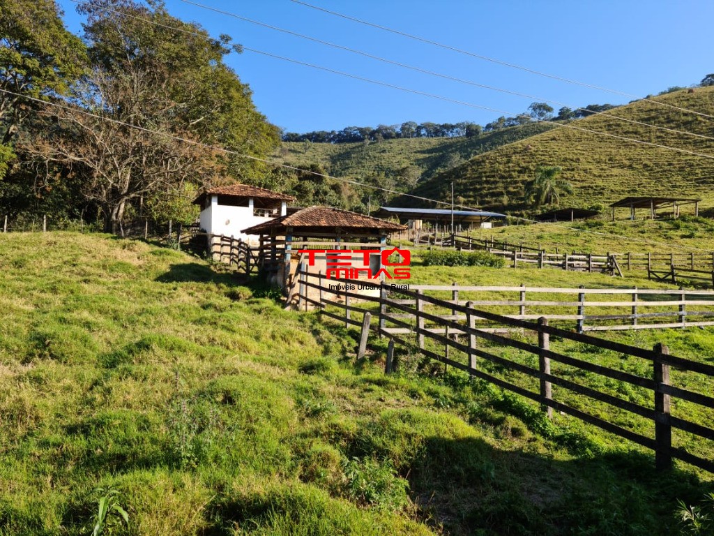 Fazenda à venda - Foto 124
