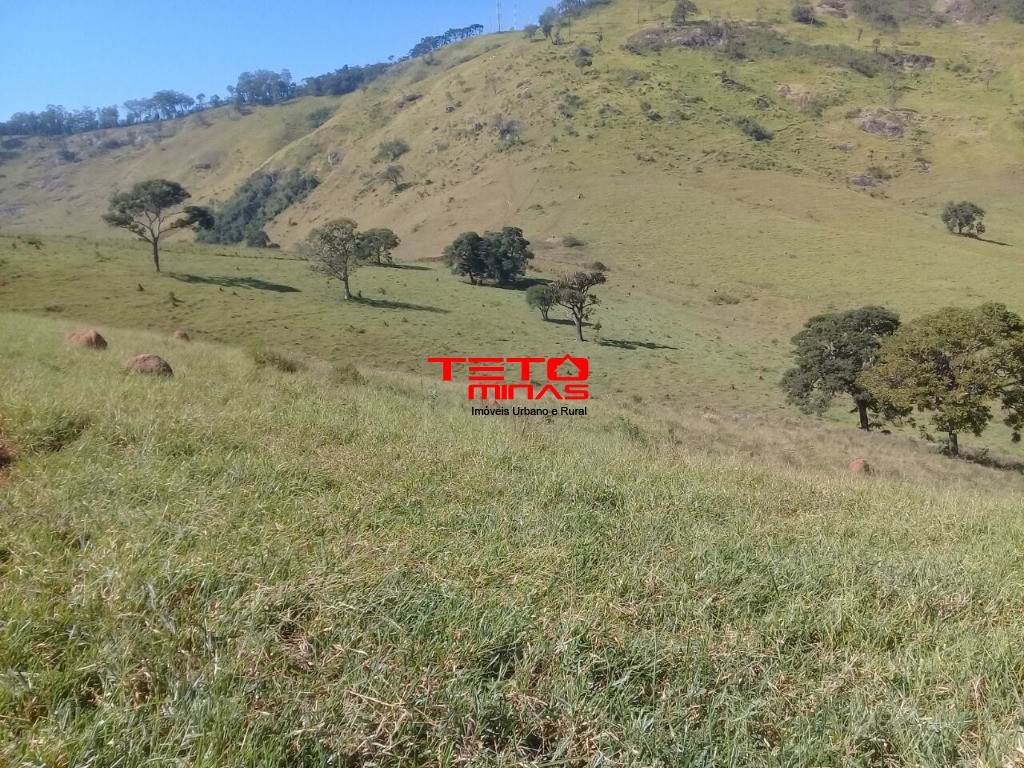 Fazenda à venda com 2 quartos - Foto 19