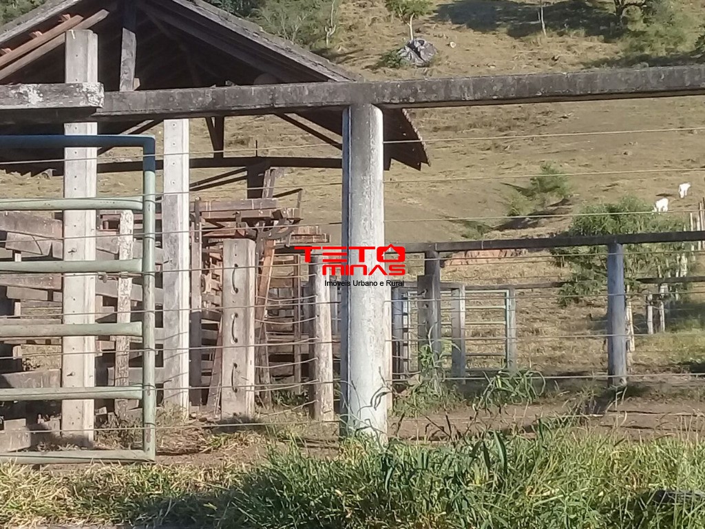 Fazenda à venda com 2 quartos - Foto 13