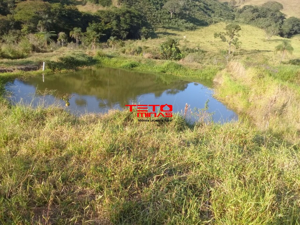 Fazenda à venda com 2 quartos - Foto 6
