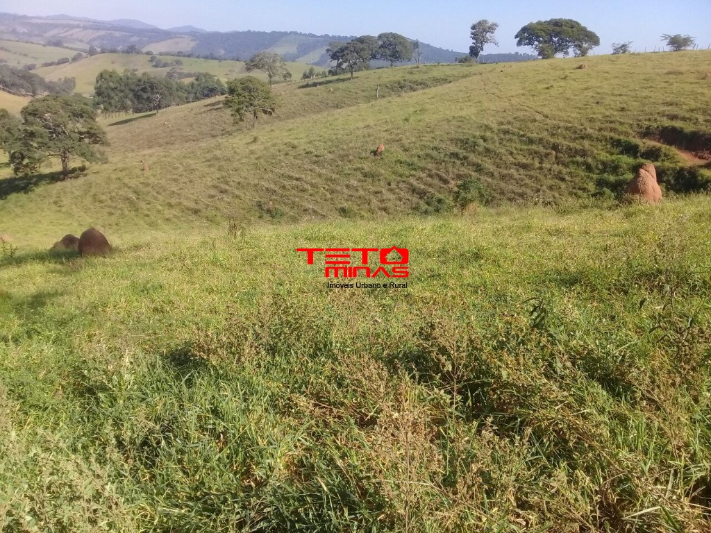 Fazenda à venda com 2 quartos - Foto 7
