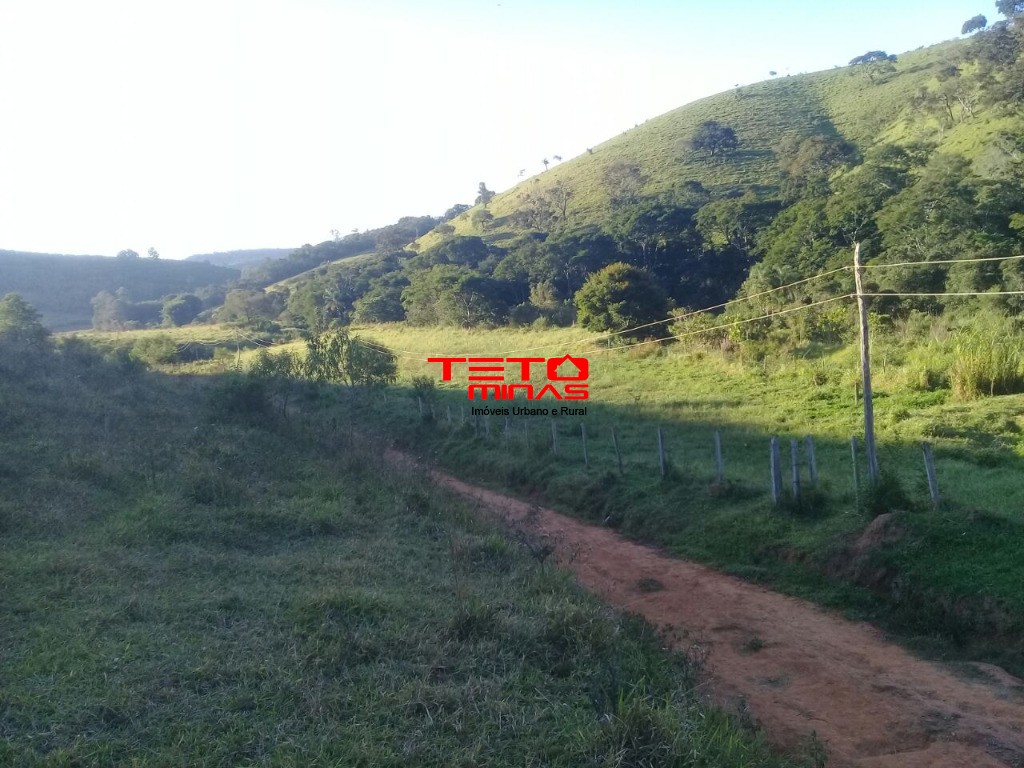 Fazenda à venda com 2 quartos - Foto 4