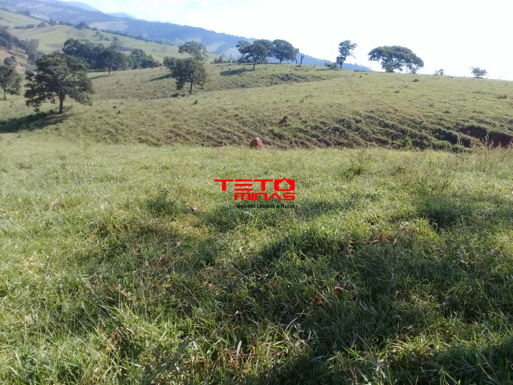 Fazenda à venda com 2 quartos - Foto 21