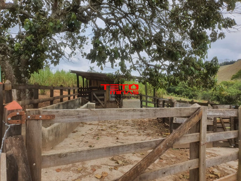 Chácara, 2 quartos - Foto 4