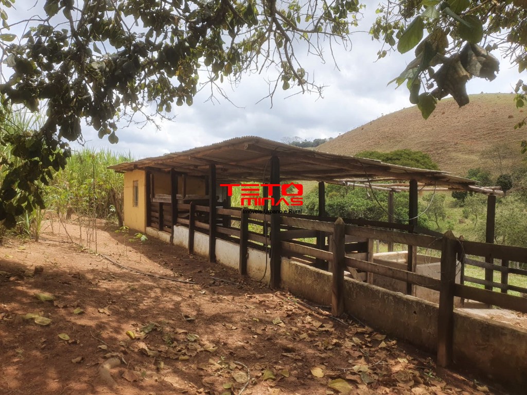 Chácara, 2 quartos - Foto 3