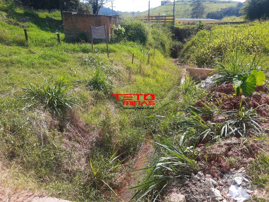 Terreno à venda, 224m² - Foto 4