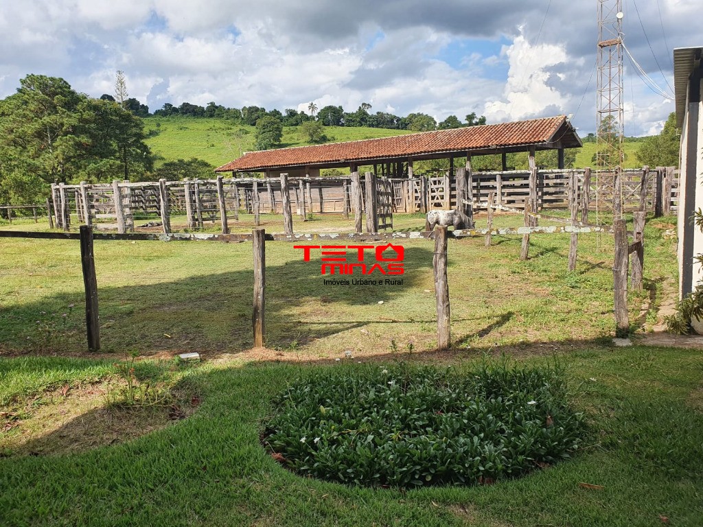 Fazenda - Foto 25