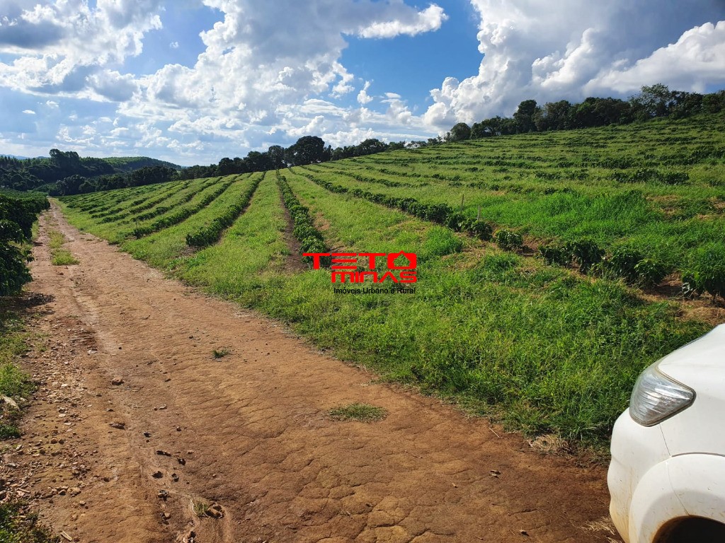 Fazenda - Foto 9