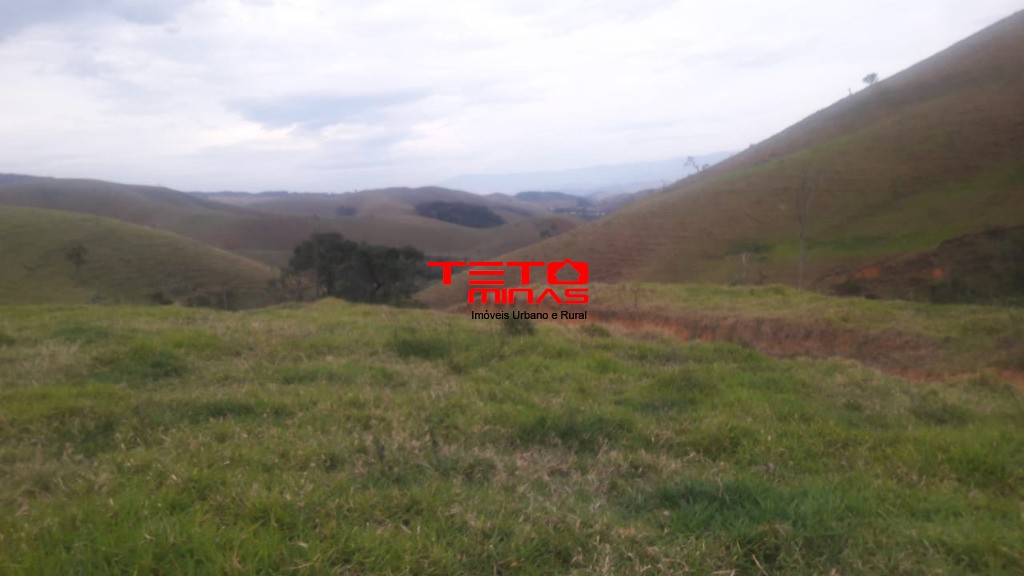 Sítio à venda - Foto 7
