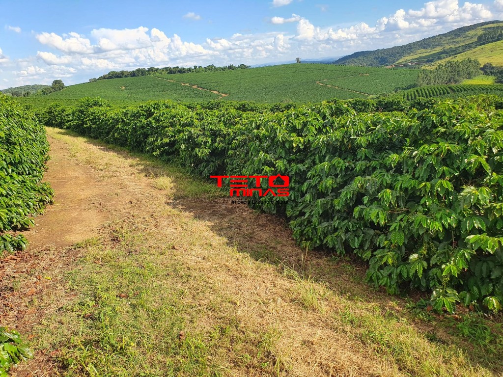 Fazenda-Sítio-Chácara - Foto 5