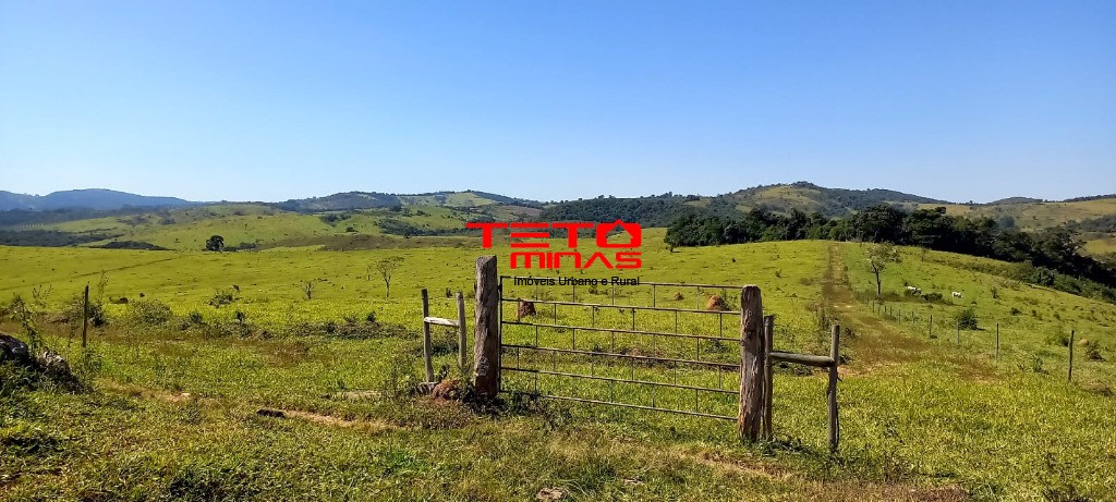 Fazenda à venda - Foto 4
