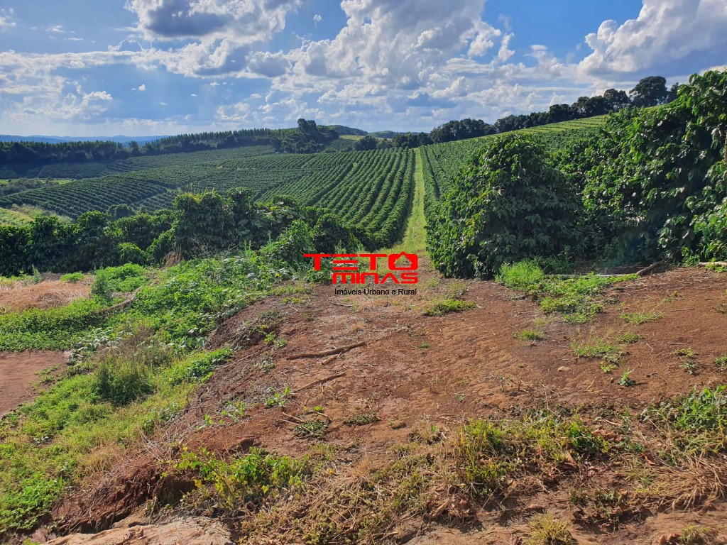Fazenda-Sítio-Chácara - Foto 4