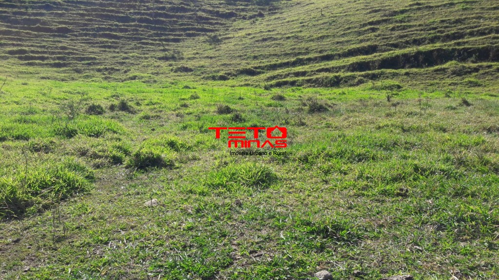 Sítio à venda - Foto 10