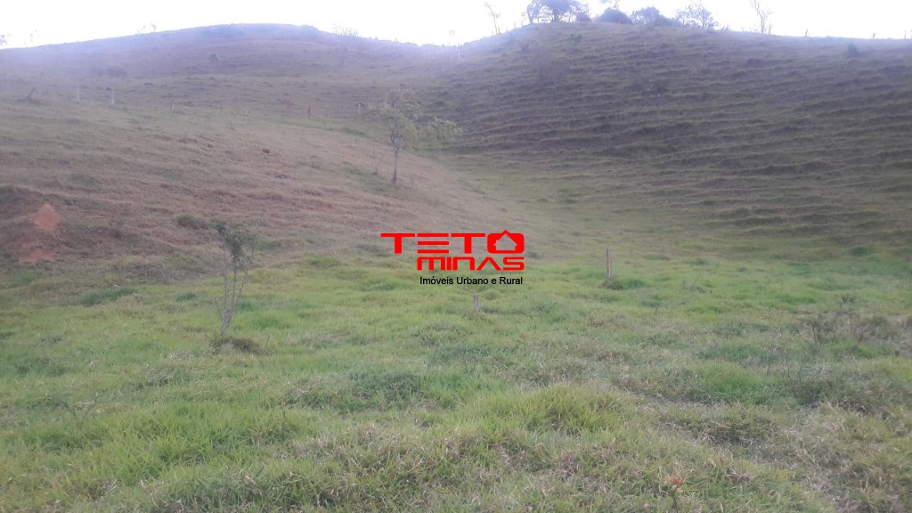 Sítio à venda - Foto 4