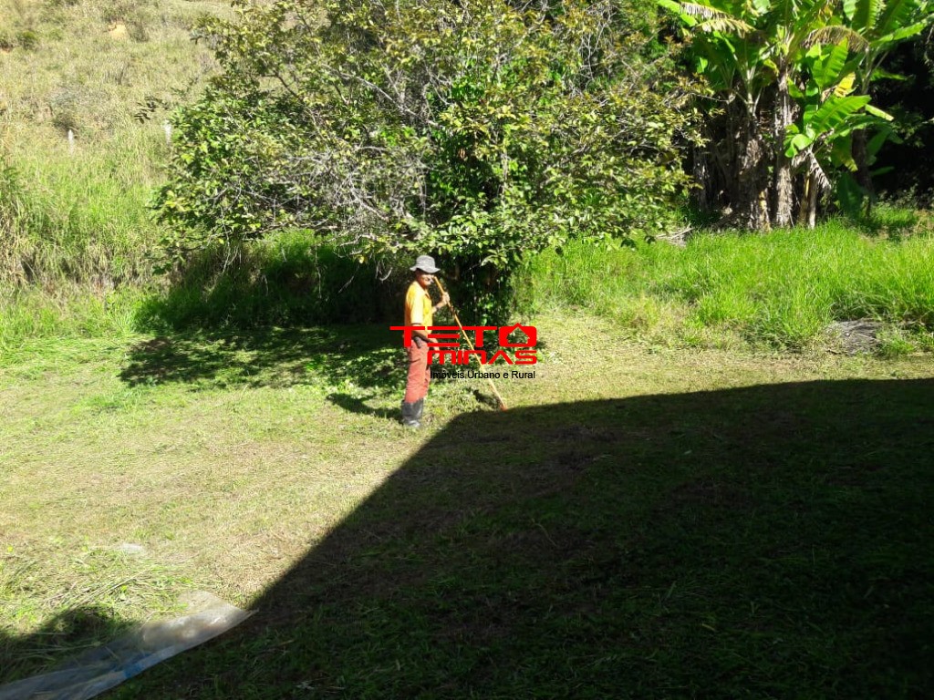Sítio à venda - Foto 3