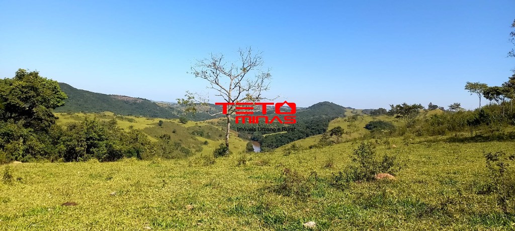 Fazenda à venda - Foto 8