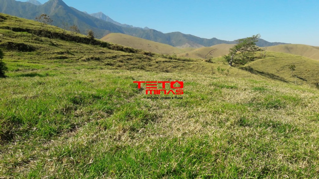 Sítio à venda - Foto 11