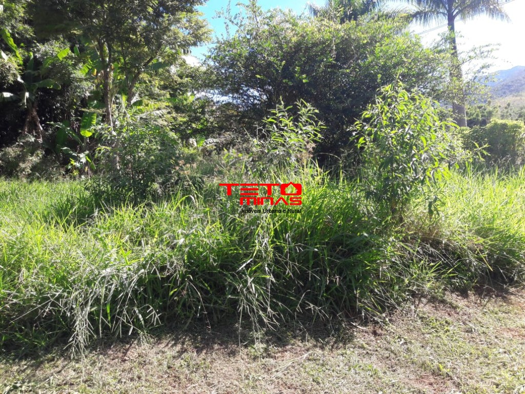 Sítio à venda - Foto 2