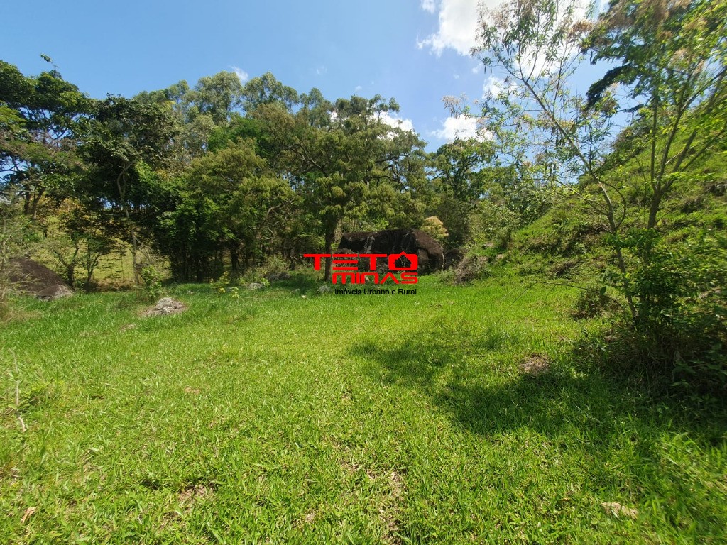 Sítio à venda - Foto 8