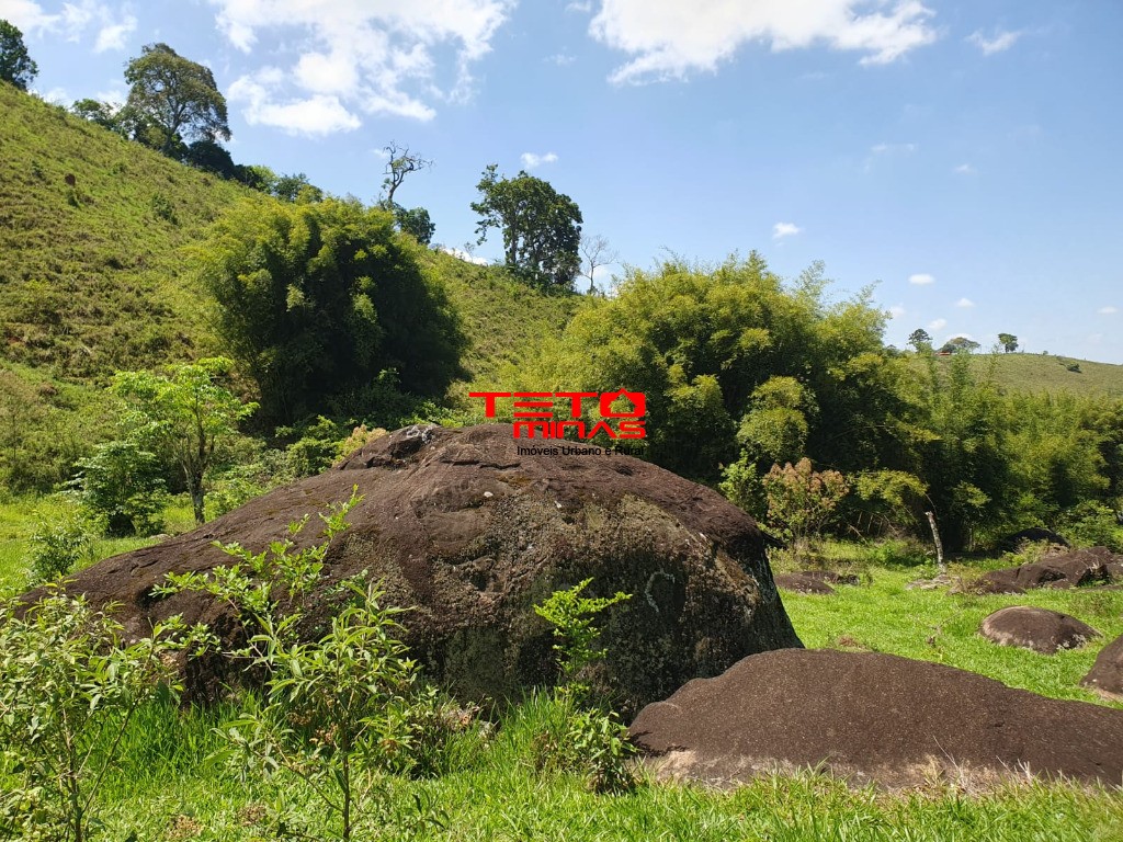 Sítio à venda - Foto 7