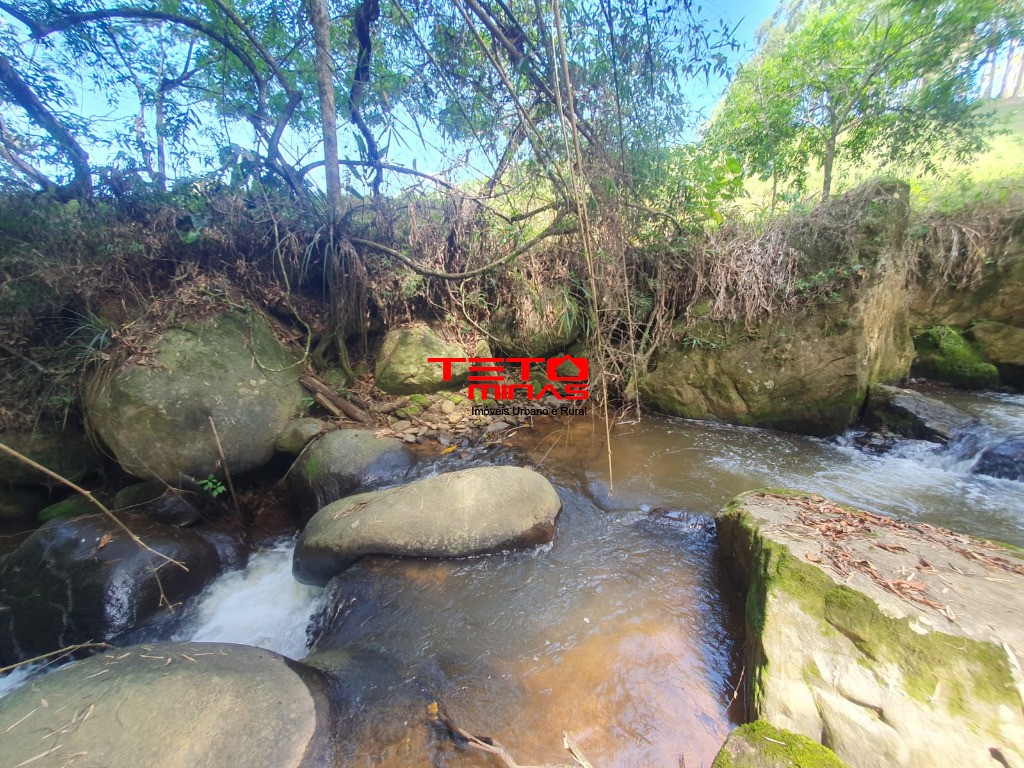 Sítio à venda - Foto 1