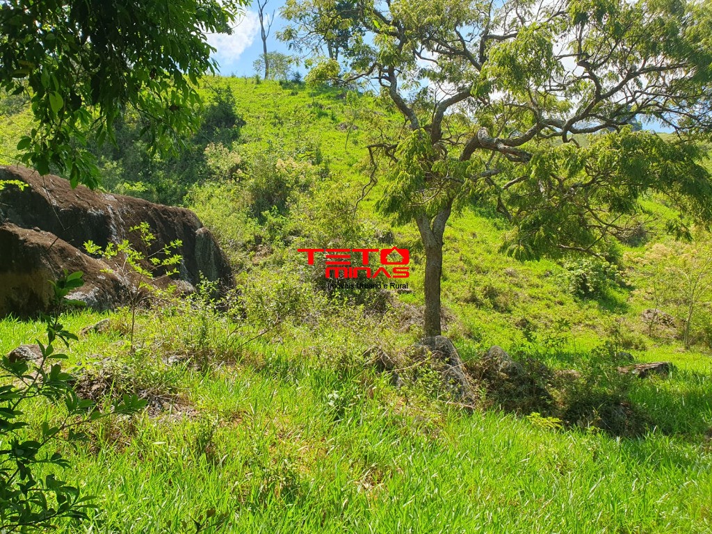 Sítio à venda - Foto 4