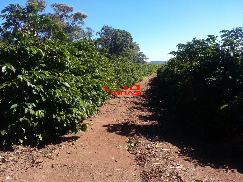 Fazenda à venda - Foto 28
