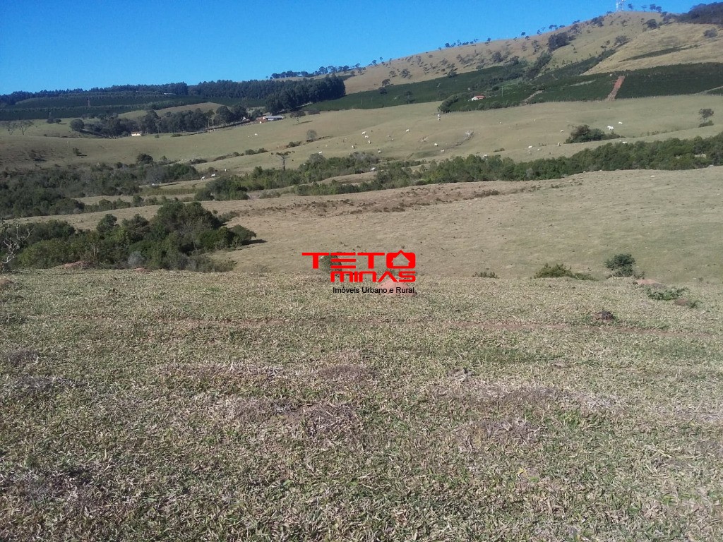 Fazenda à venda - Foto 4