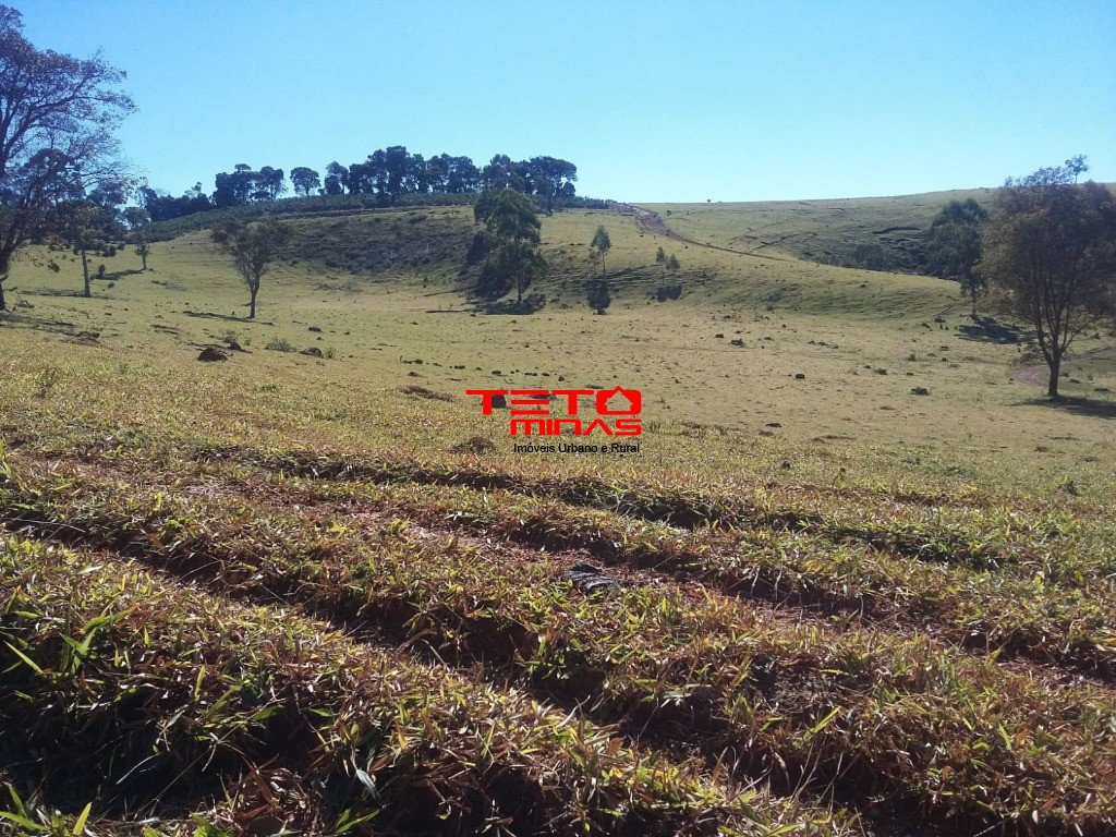 Fazenda à venda - Foto 26