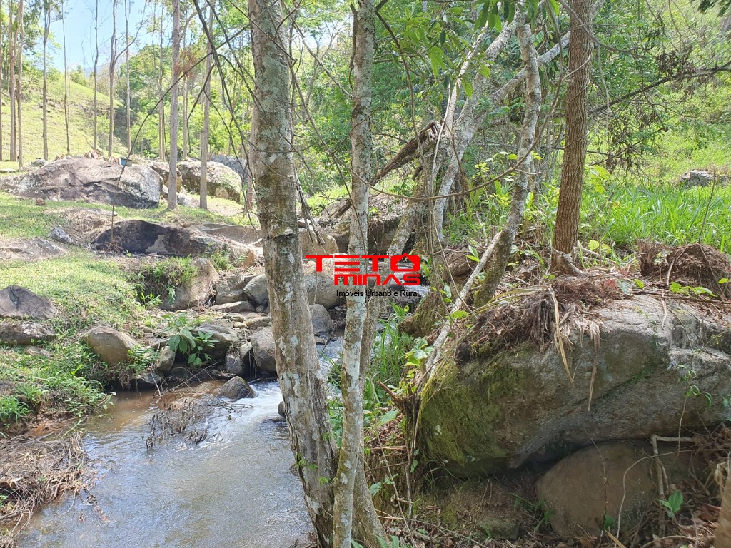 Sítio à venda - Foto 5