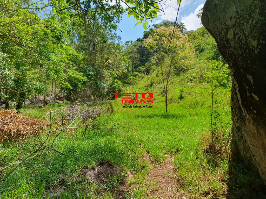 Sítio à venda - Foto 3