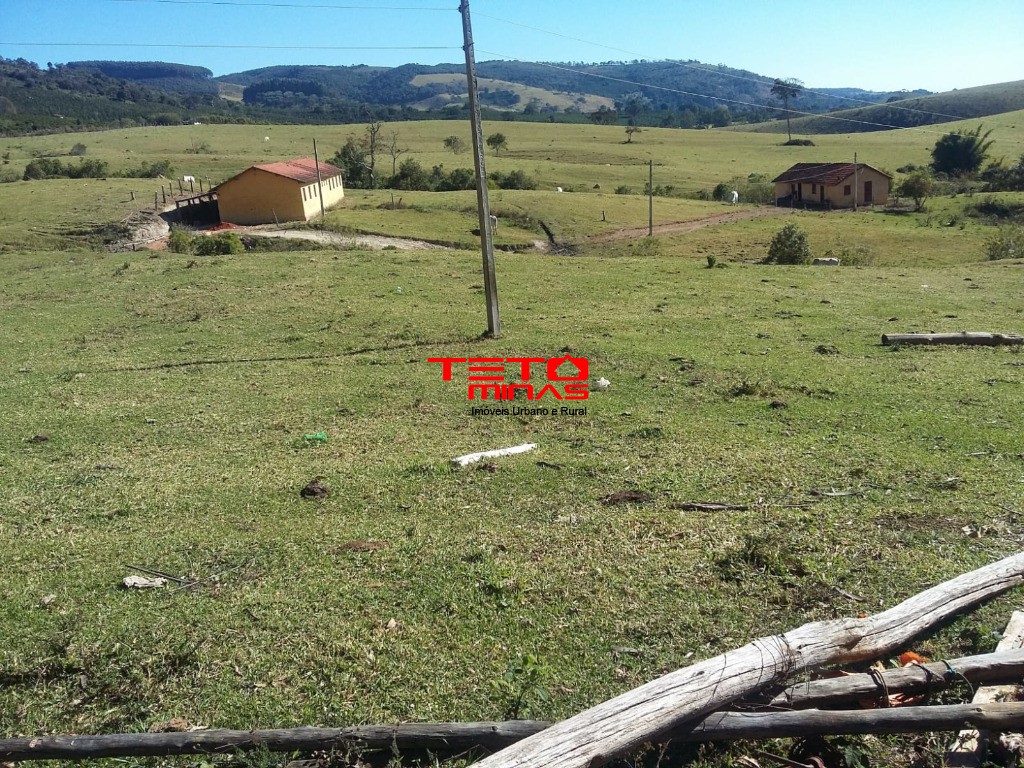 Fazenda à venda - Foto 7