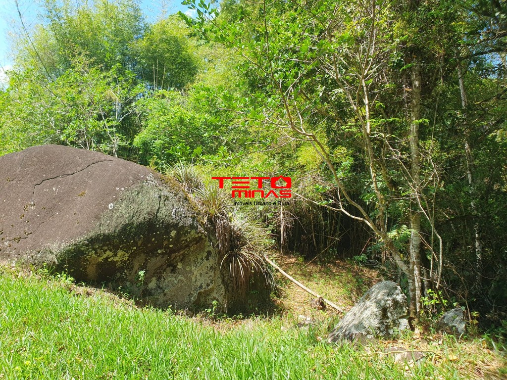 Sítio à venda - Foto 2