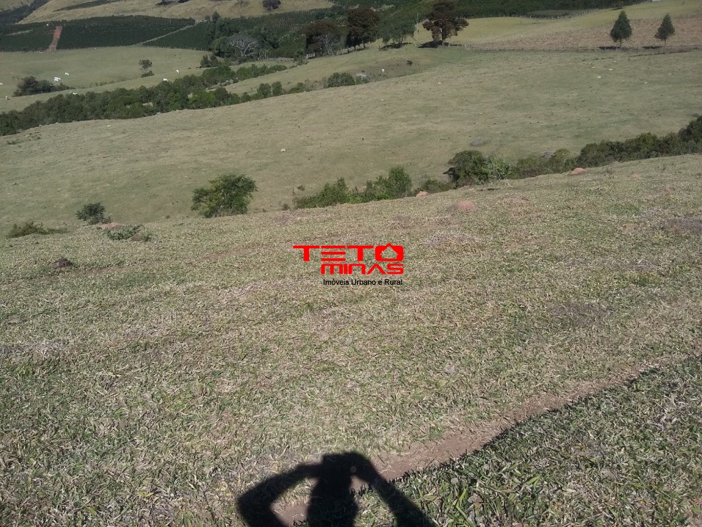 Fazenda à venda - Foto 6