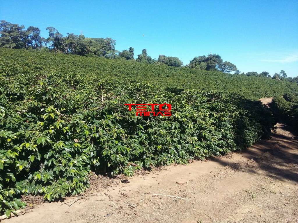Fazenda à venda - Foto 27