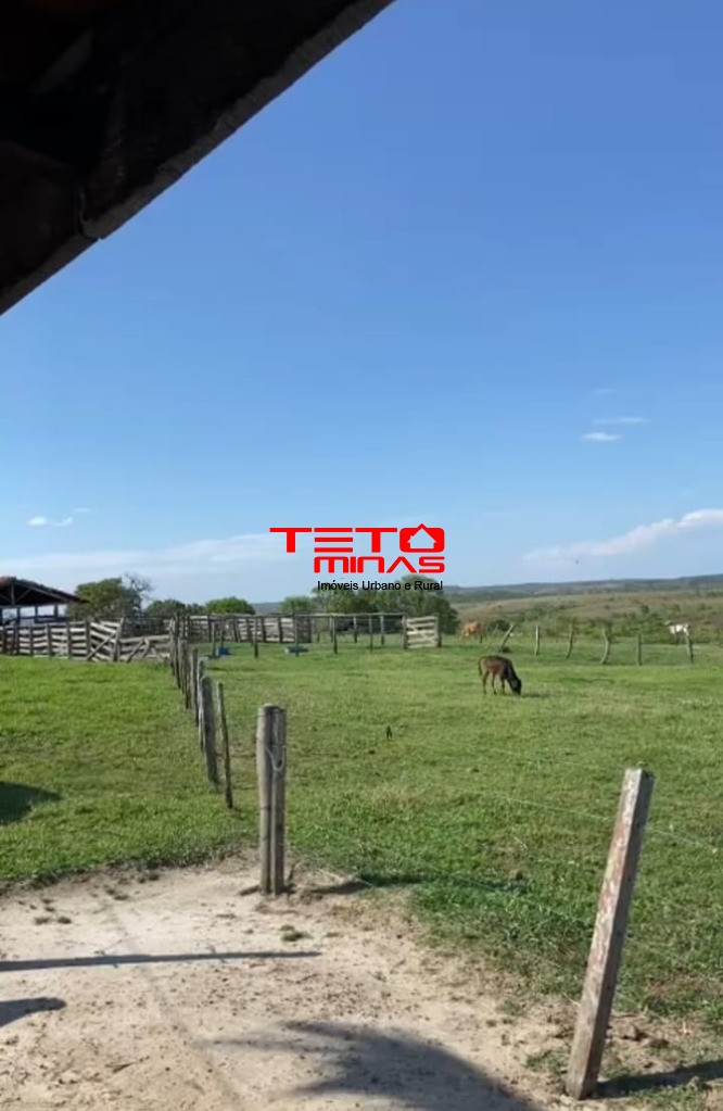 Fazenda à venda - Foto 7