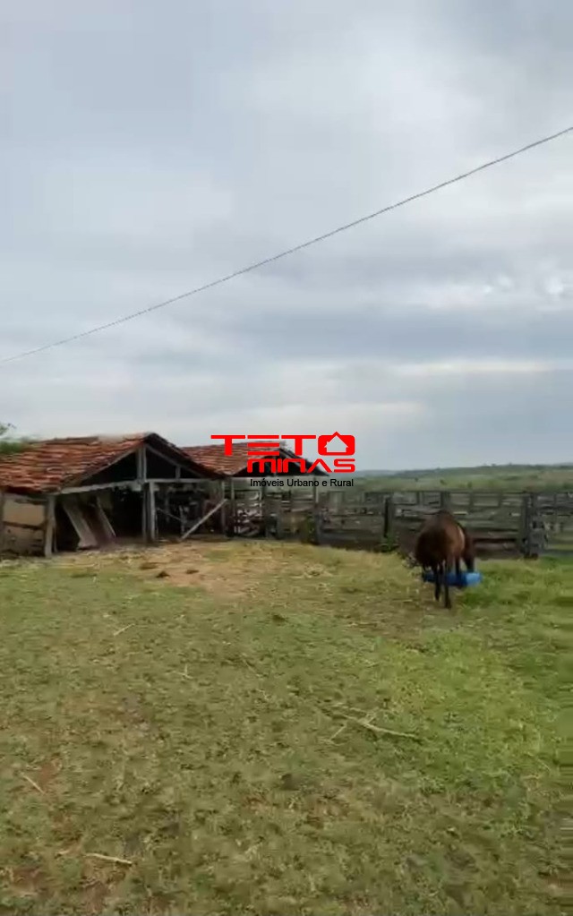 Fazenda à venda - Foto 4