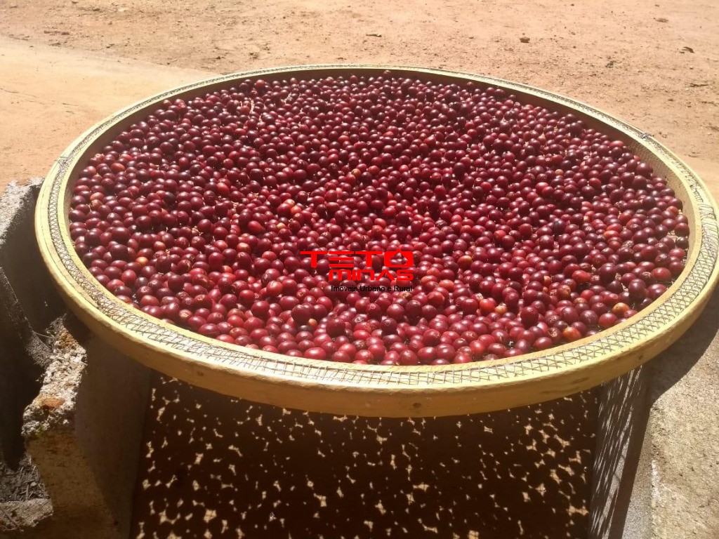 Fazenda à venda - Foto 9
